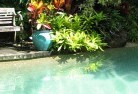 Newlands QLDswimming-pool-landscaping-3.jpg; ?>